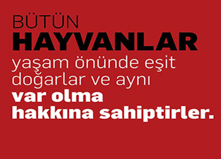 Pet Community Veteriner Kliniği
